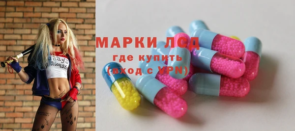 ГАЛЛЮЦИНОГЕННЫЕ ГРИБЫ Богданович
