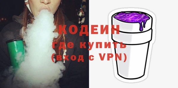 ГАЛЛЮЦИНОГЕННЫЕ ГРИБЫ Богданович
