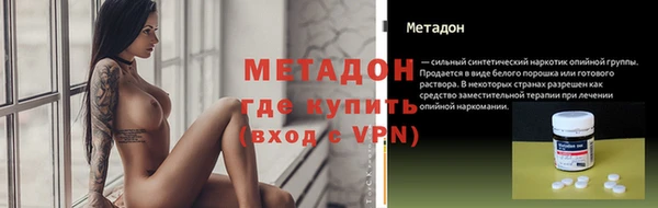 ГАЛЛЮЦИНОГЕННЫЕ ГРИБЫ Богданович