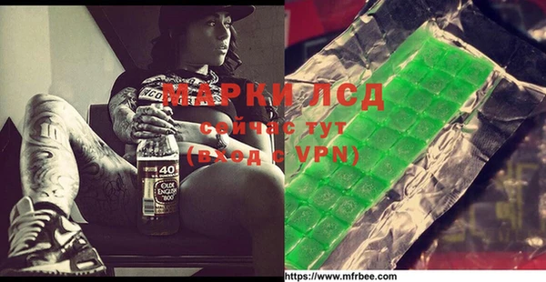 ГАЛЛЮЦИНОГЕННЫЕ ГРИБЫ Богданович