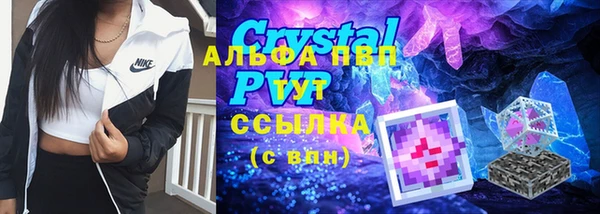 ГАЛЛЮЦИНОГЕННЫЕ ГРИБЫ Богданович