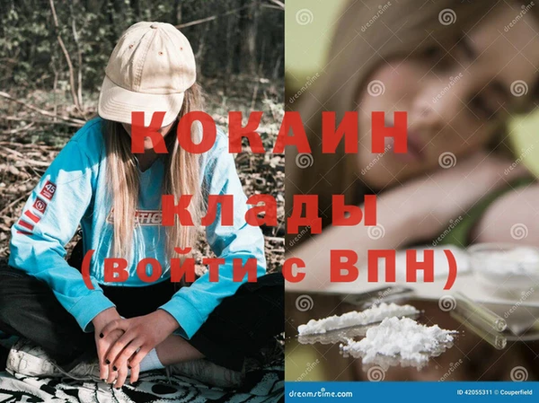 ГАЛЛЮЦИНОГЕННЫЕ ГРИБЫ Богданович