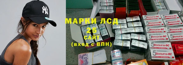 ГАЛЛЮЦИНОГЕННЫЕ ГРИБЫ Богданович