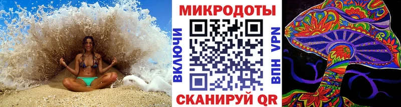 shop какой сайт  Светлогорск  Псилоцибиновые грибы MAGIC MUSHROOMS 